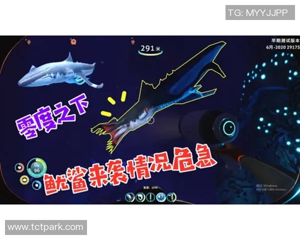 猛龙崛起：探索猛龙文化与生物多样性的深度融合与保护之道